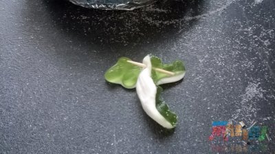 Crocodiles verts pour feuillages