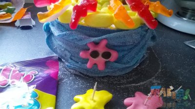 Etoiles de mer en place